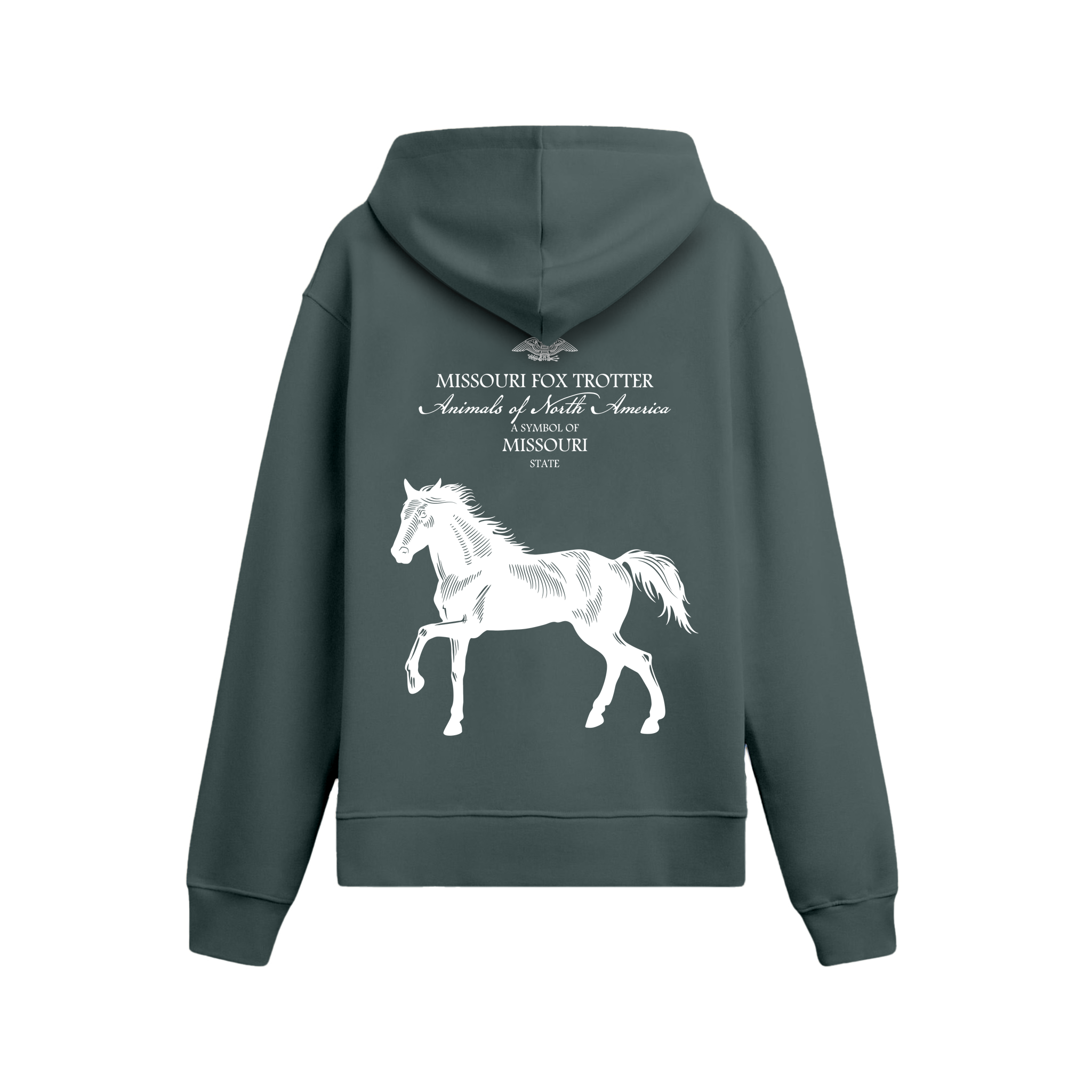 Missouri - Oversize Hoodie