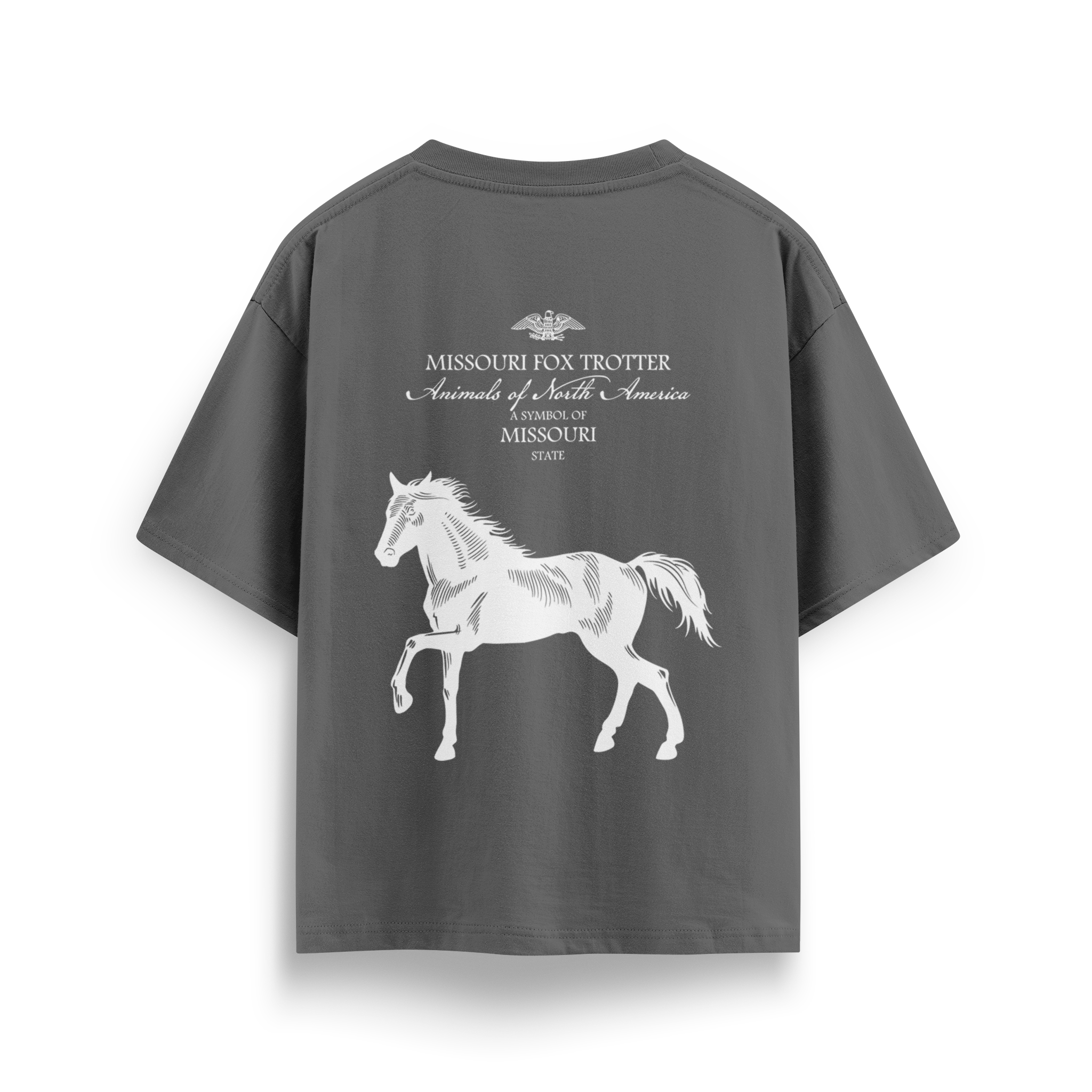 Missouri - Oversize T-Shirt