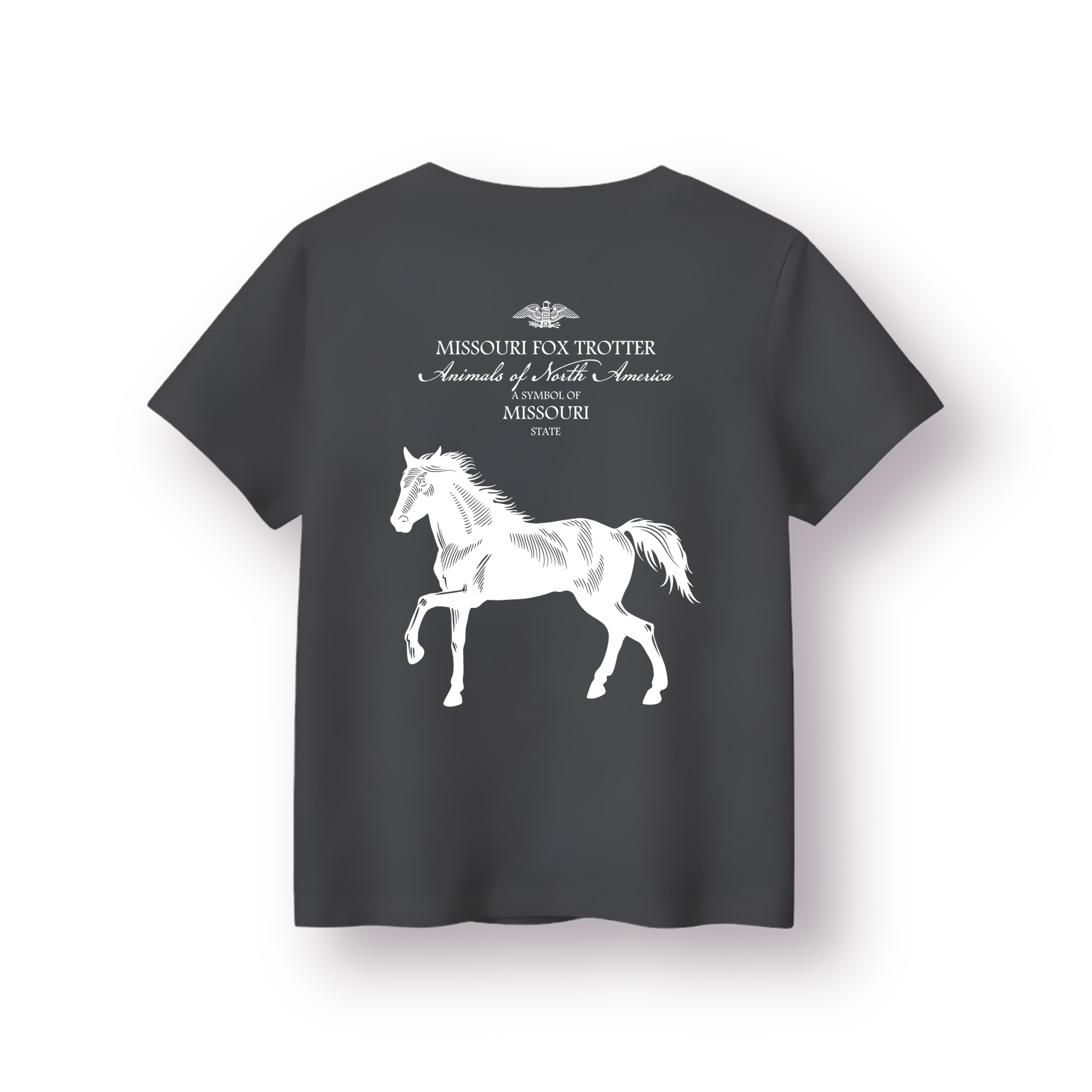 Missouri - Çocuk T-shirt