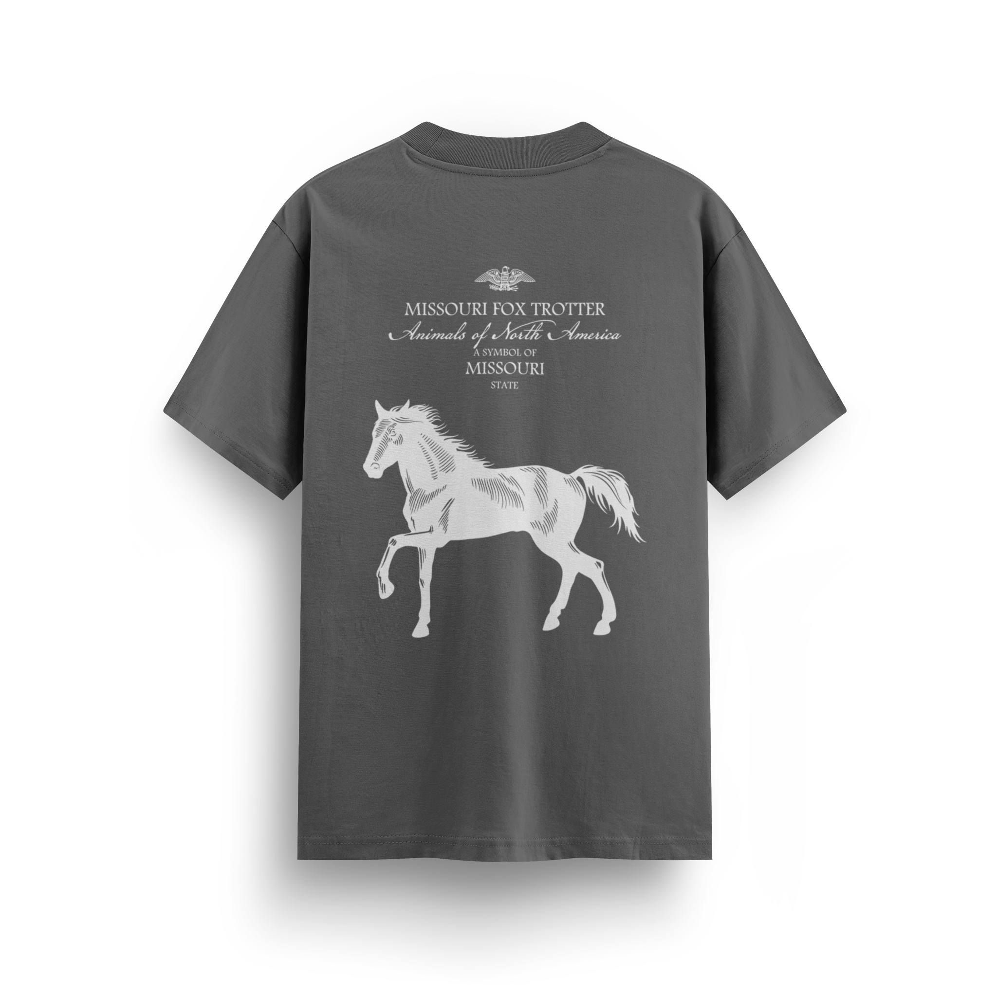 Missouri - Regular T-shirt