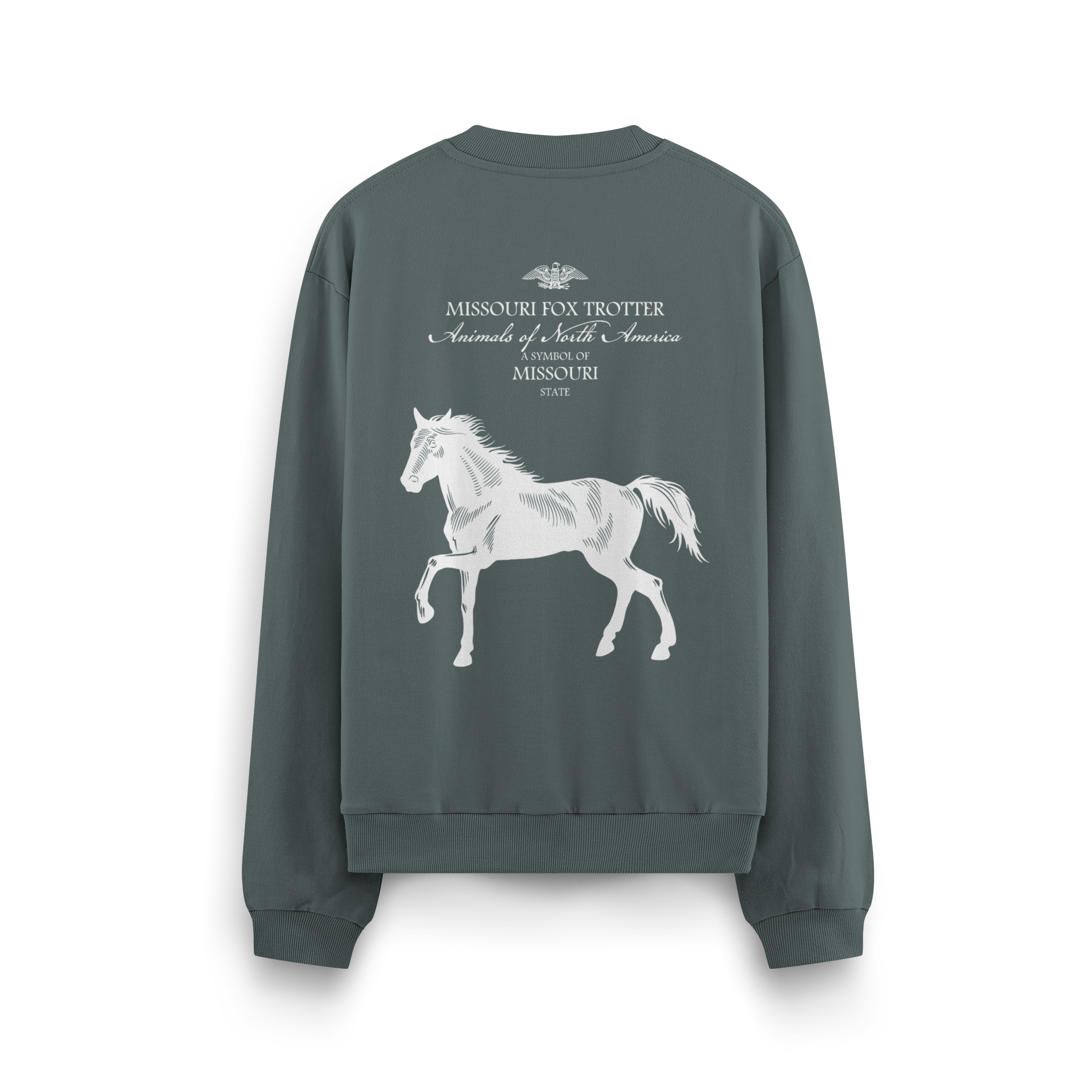 Missouri - Oversize Sweatshirt