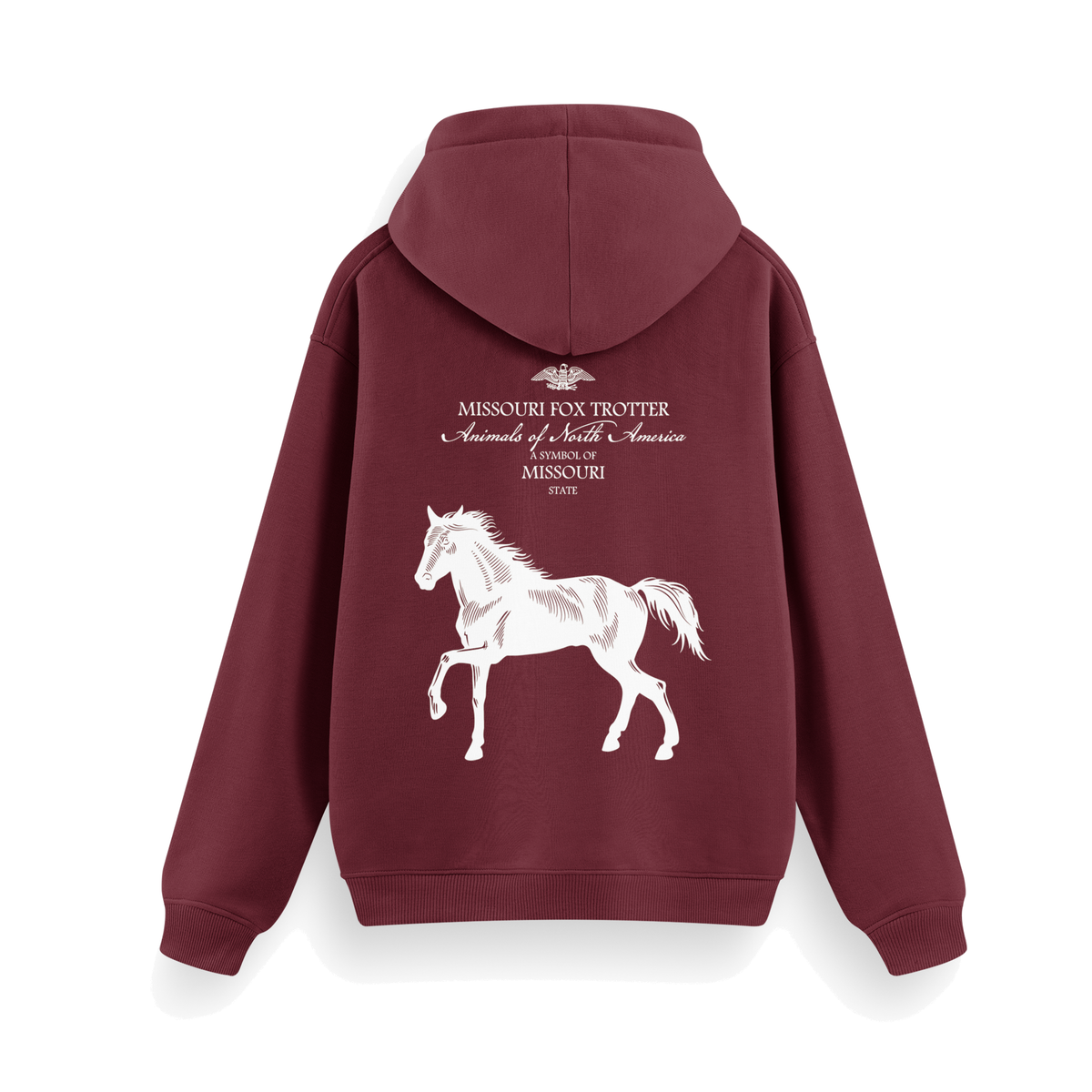 Missouri Regular Hoodie Bordo, sırt baskı – After6