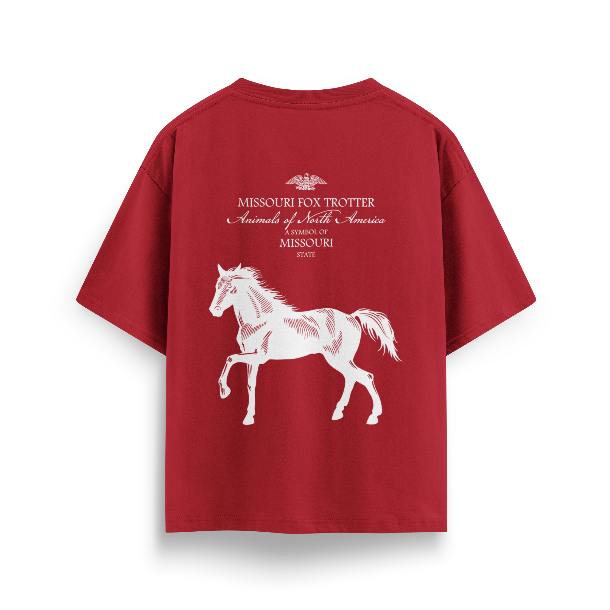 Missouri - Oversize T-Shirt
