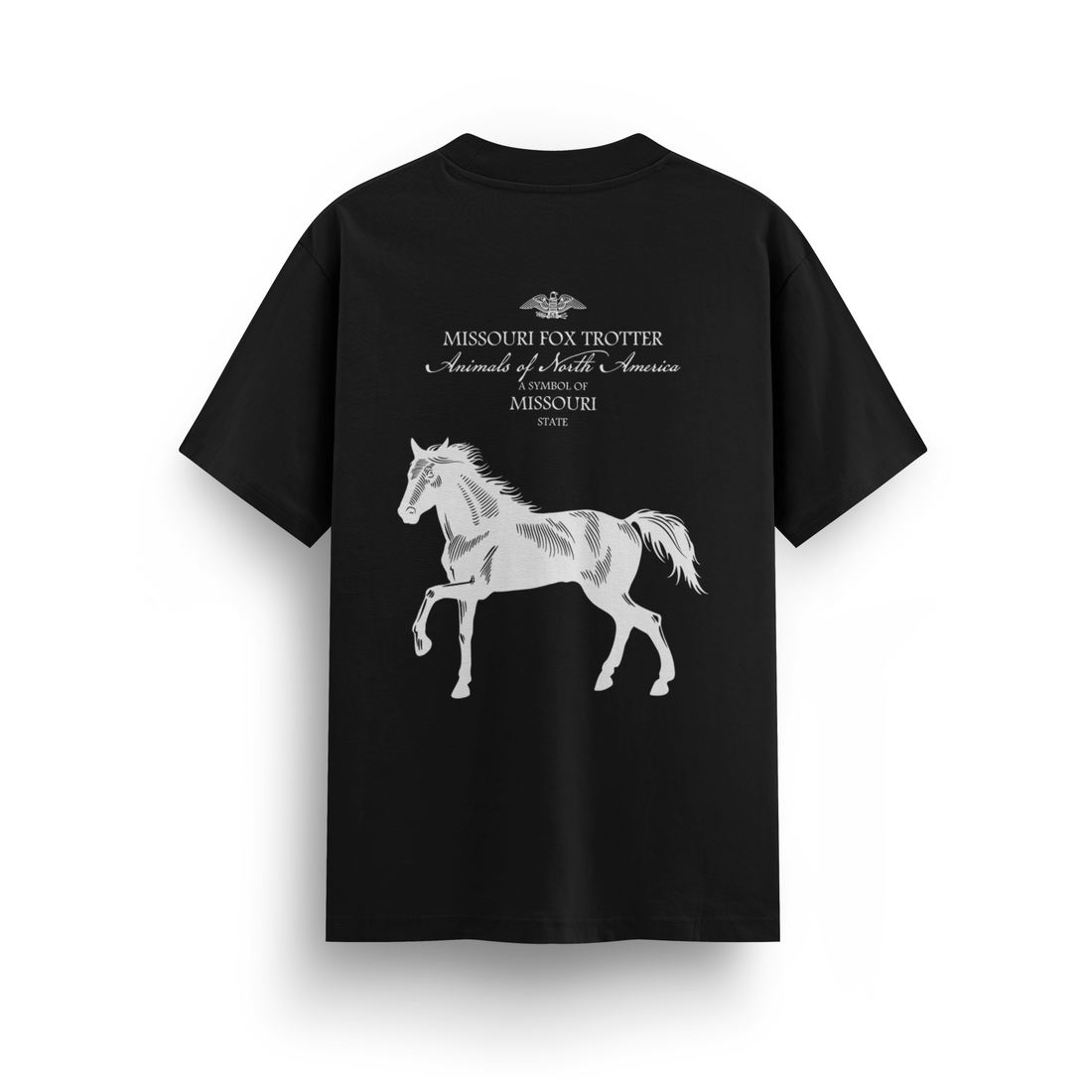 Missouri - Regular T-shirt