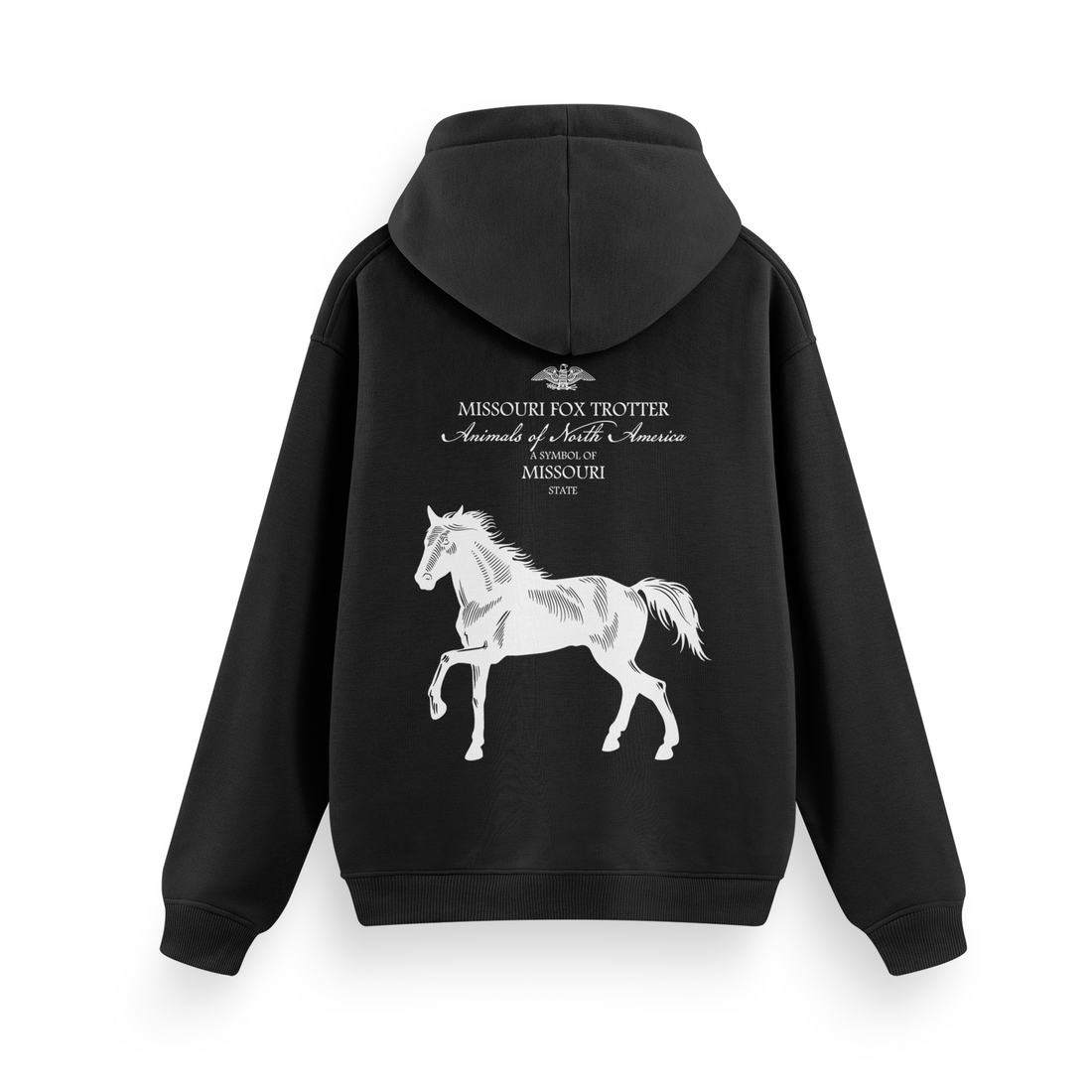 Missouri - Regular Hoodie