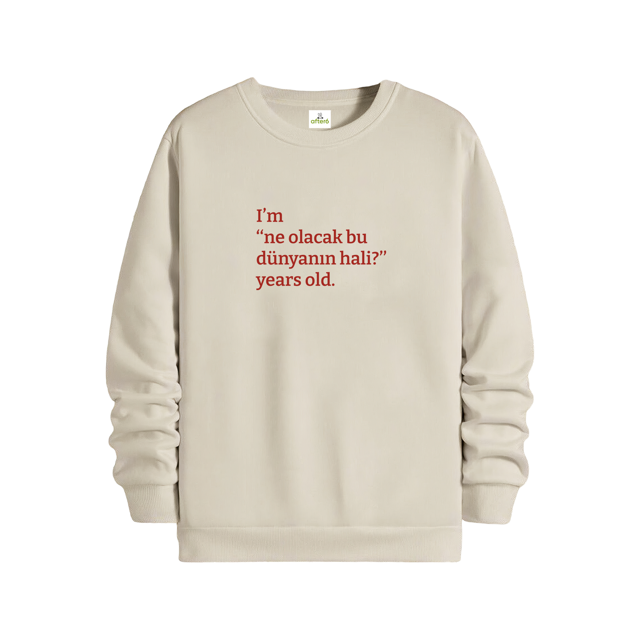 Ne olacak bu dünyanın hali - Regular Sweatshirt