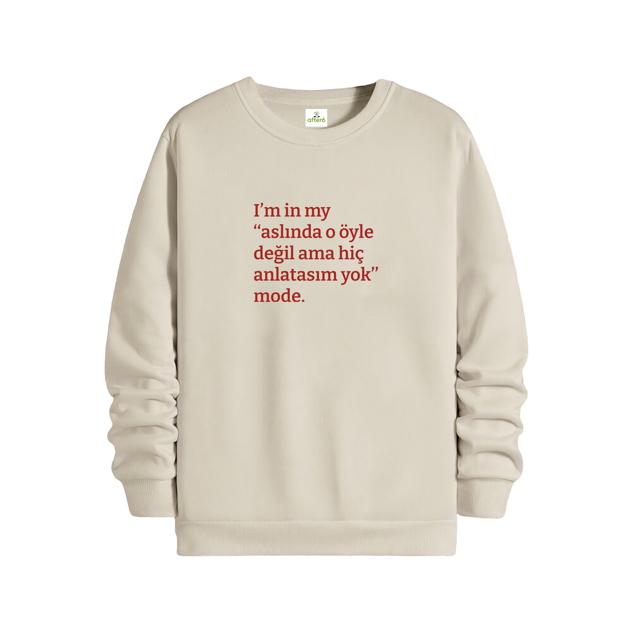 Aslında o öyle değil ama - Regular Sweatshirt