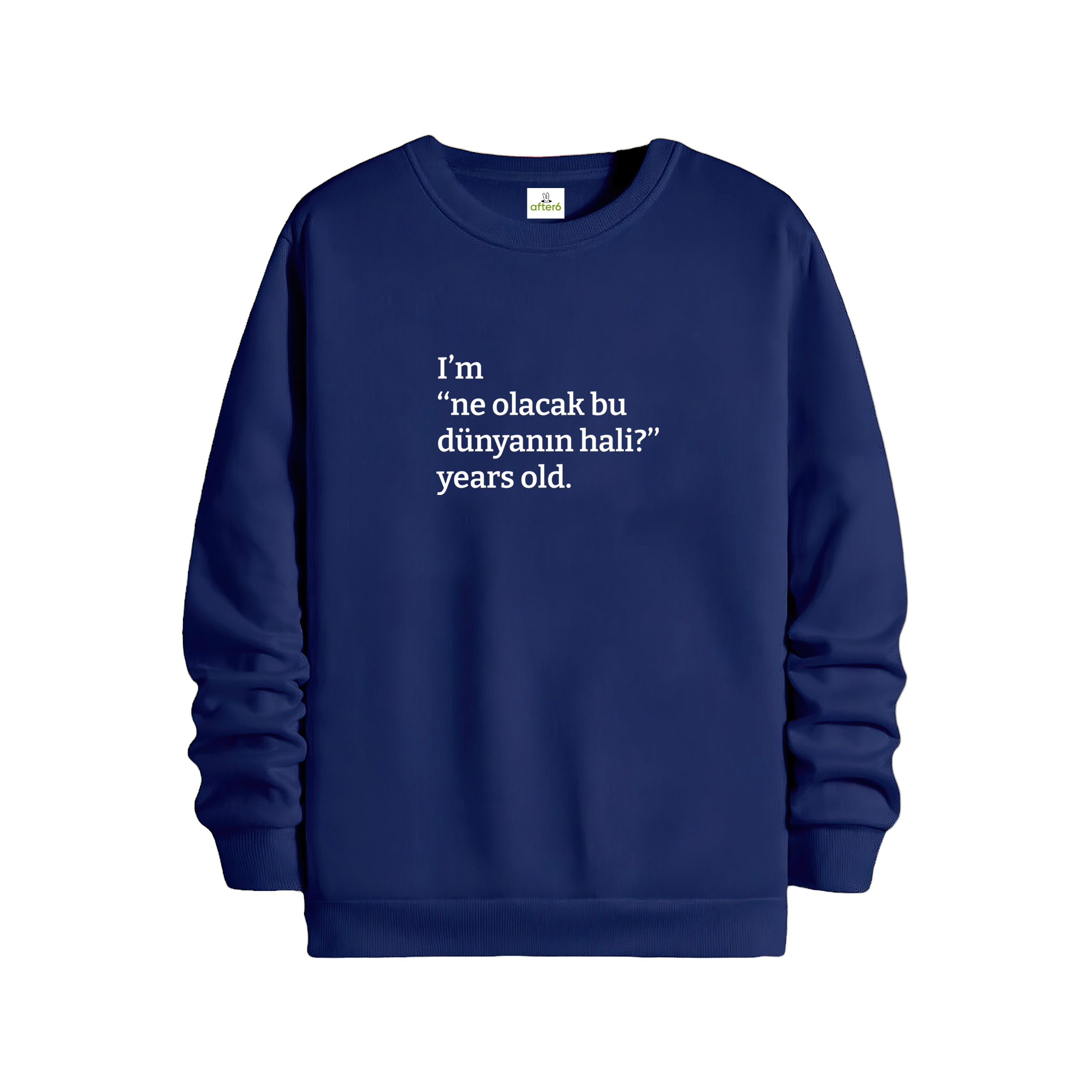 Ne olacak bu dünyanın hali - Regular Sweatshirt