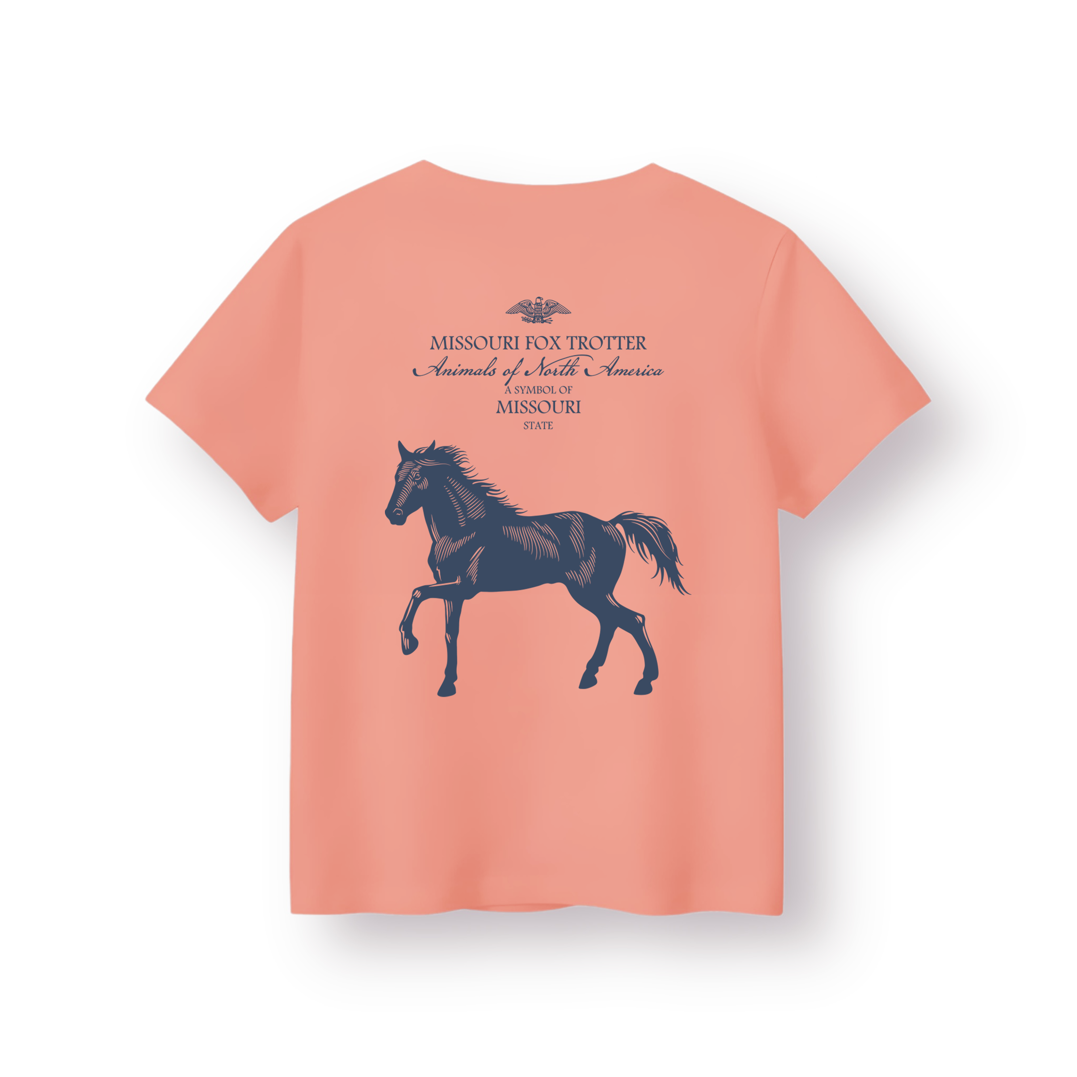 Missouri - Çocuk T-shirt