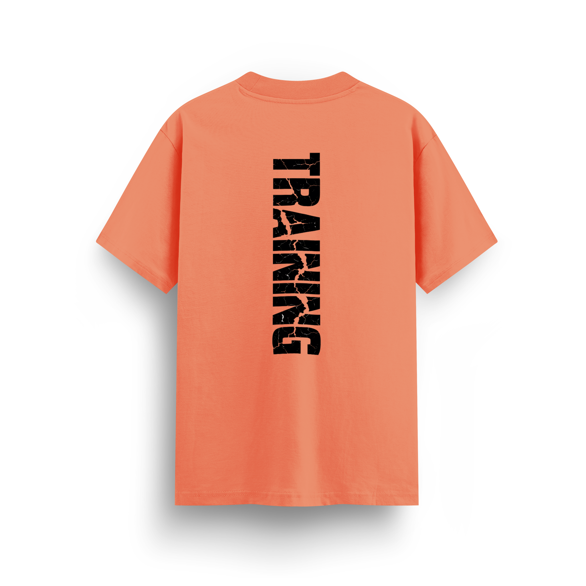 Training - Regular T-shirt