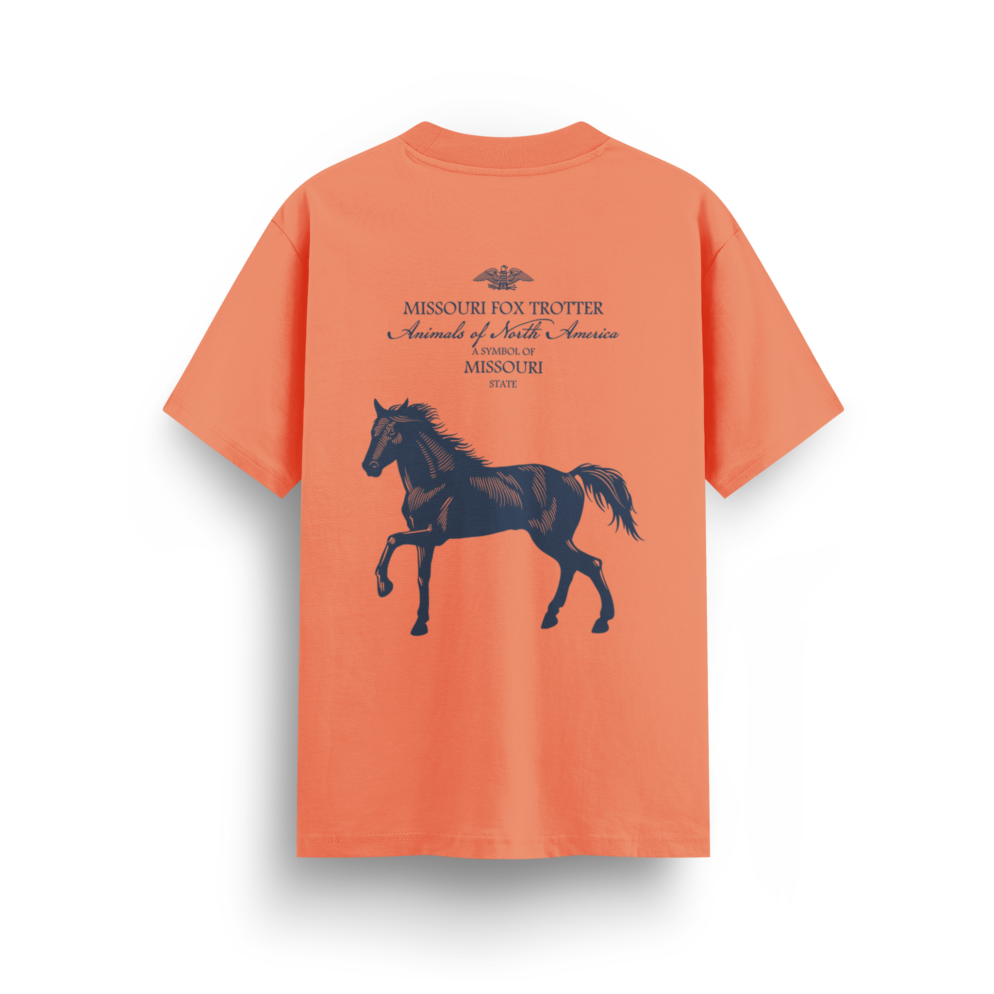 Missouri - Regular T-shirt