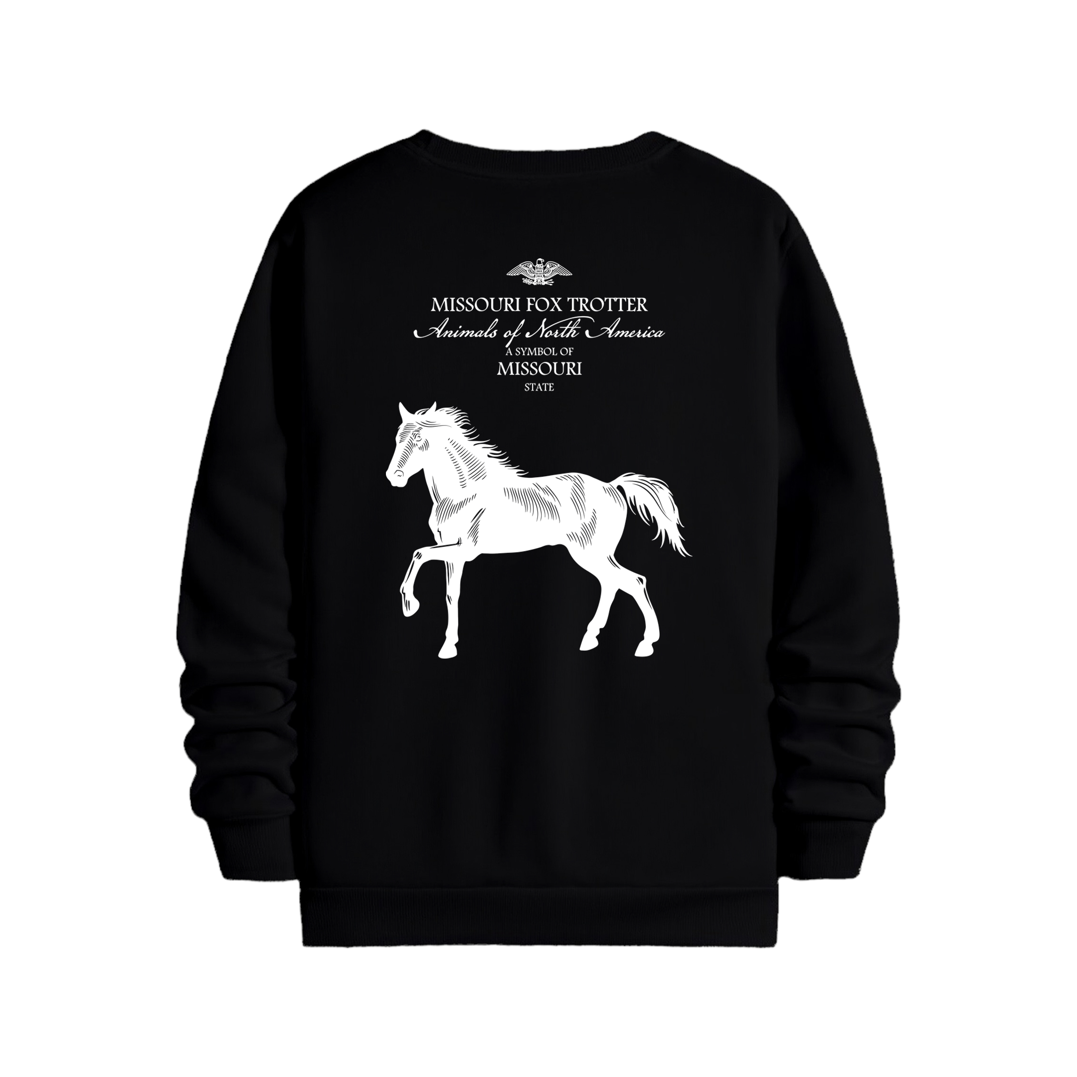 Missouri - Regular Sweatshirt