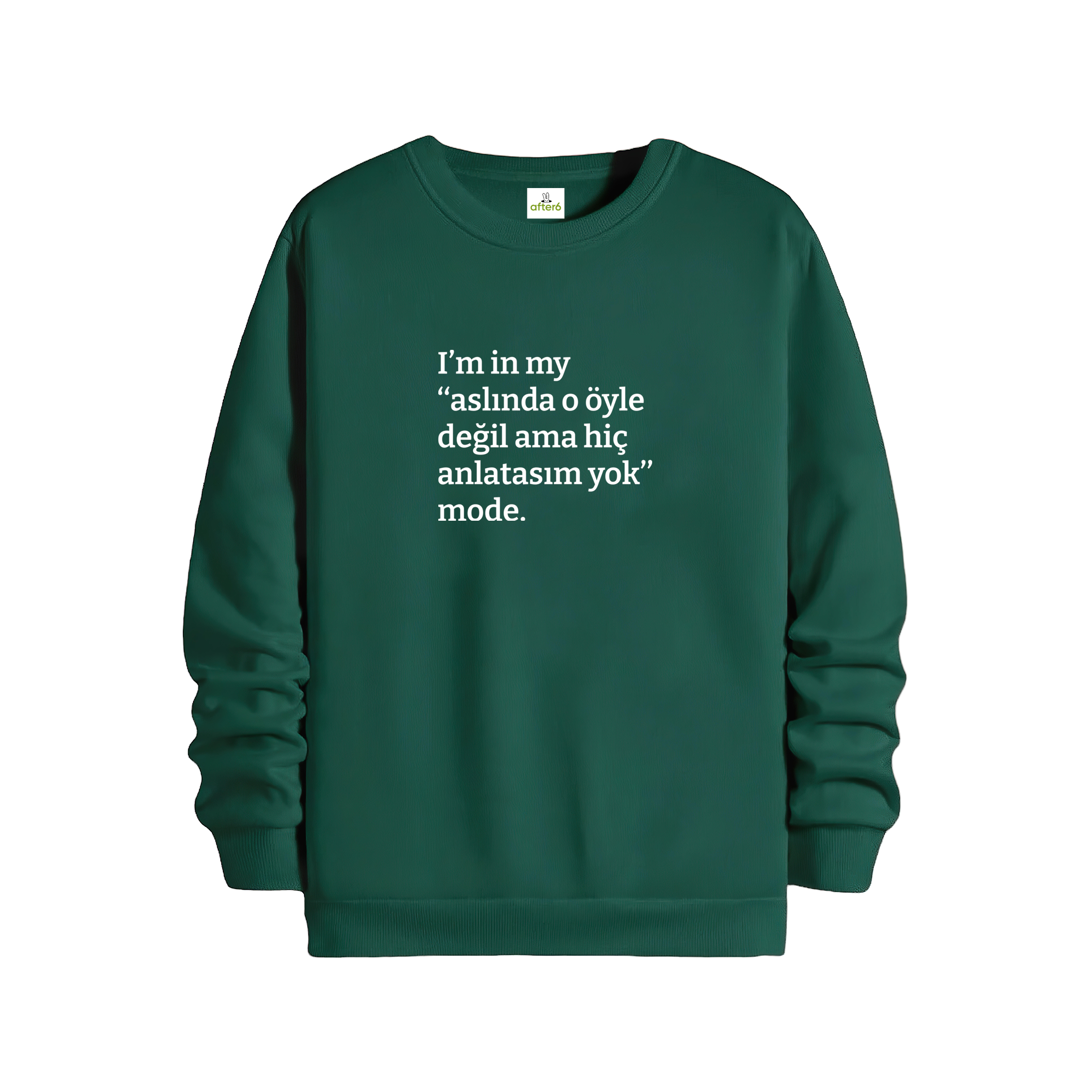 Aslında o öyle değil ama - Regular Sweatshirt